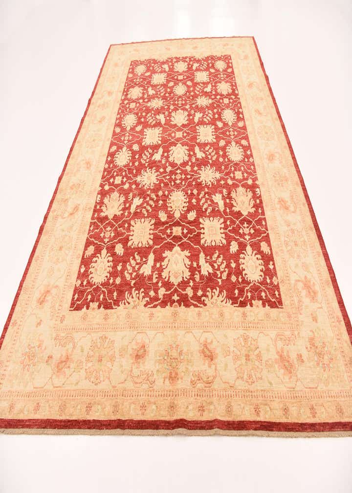 8' 8 x 12' 4 Hand Knotted Peshawar Ziegler Rug