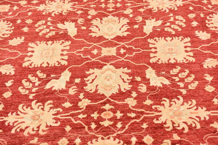 8' 8 x 12' 4 Hand Knotted Peshawar Ziegler Rug