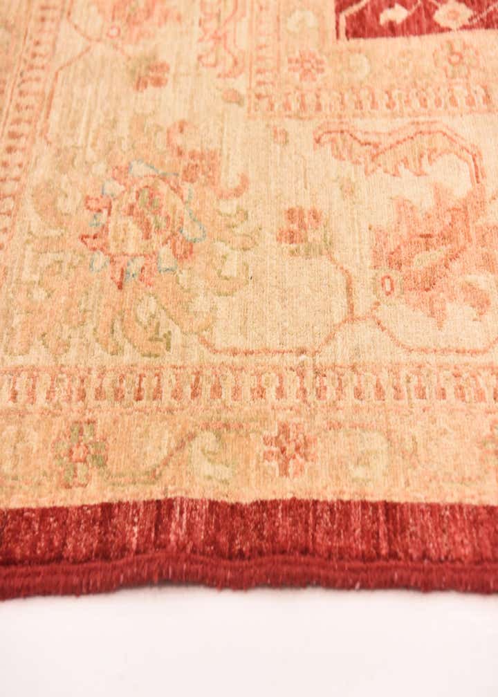 8' 8 x 12' 4 Hand Knotted Peshawar Ziegler Rug