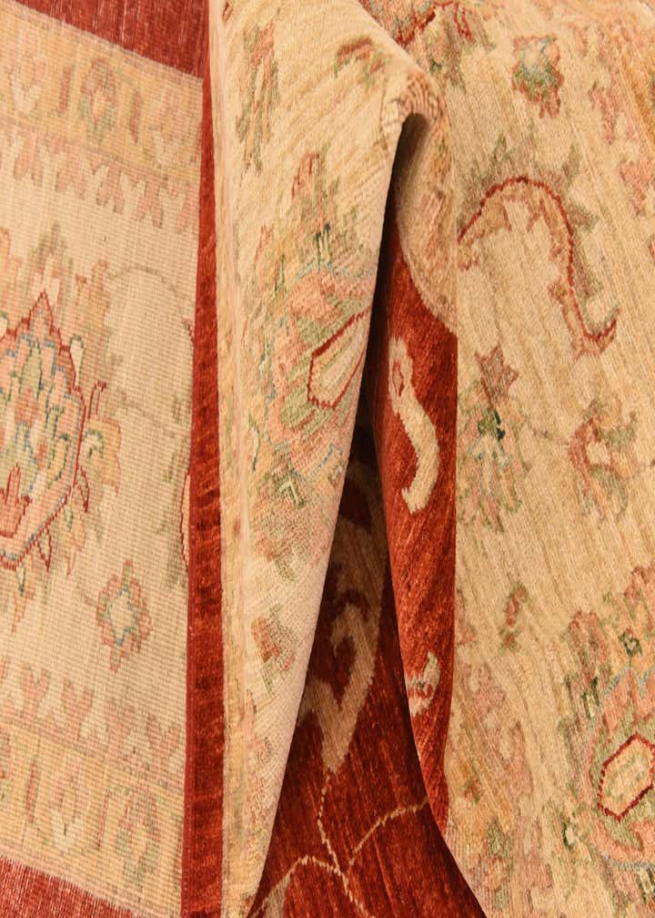 8' 10 x 12' 5 Hand Knotted Peshawar Ziegler Rug