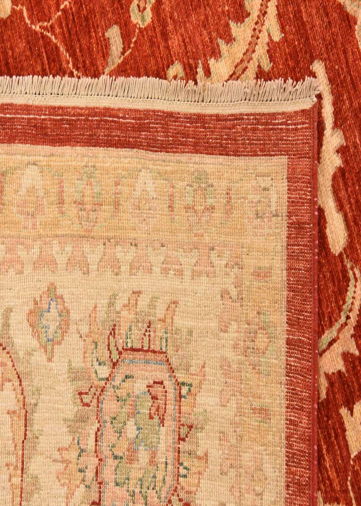 8' 10 x 12' 5 Hand Knotted Peshawar Ziegler Rug