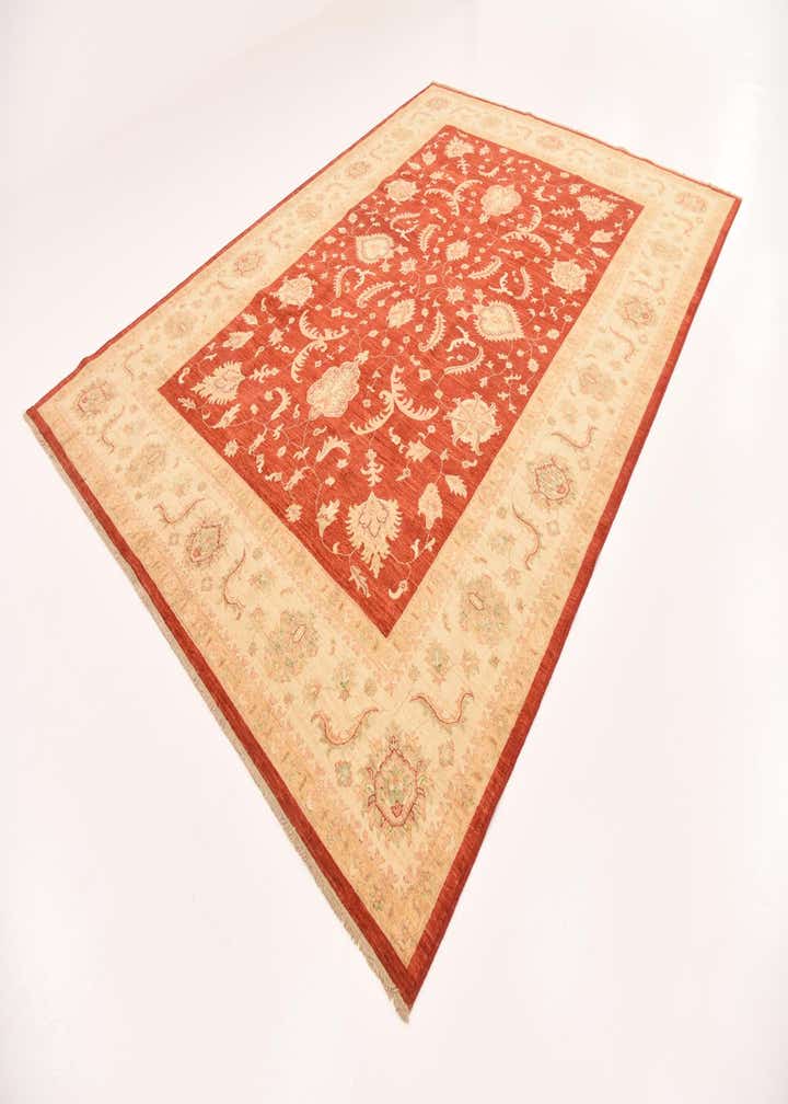 8' 10 x 12' 5 Hand Knotted Peshawar Ziegler Rug
