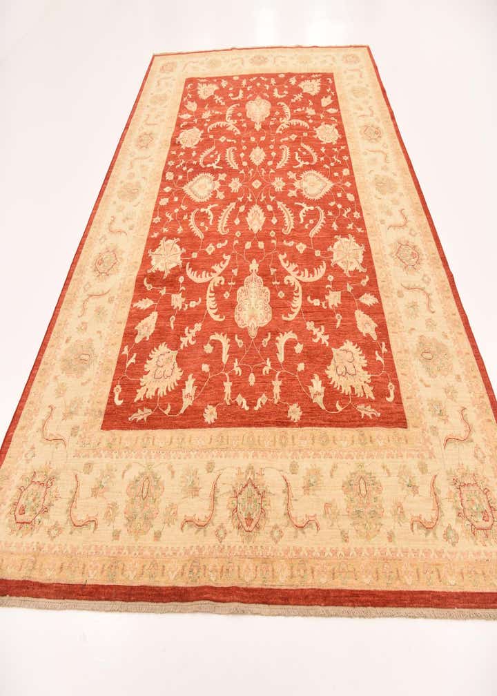 8' 10 x 12' 5 Hand Knotted Peshawar Ziegler Rug