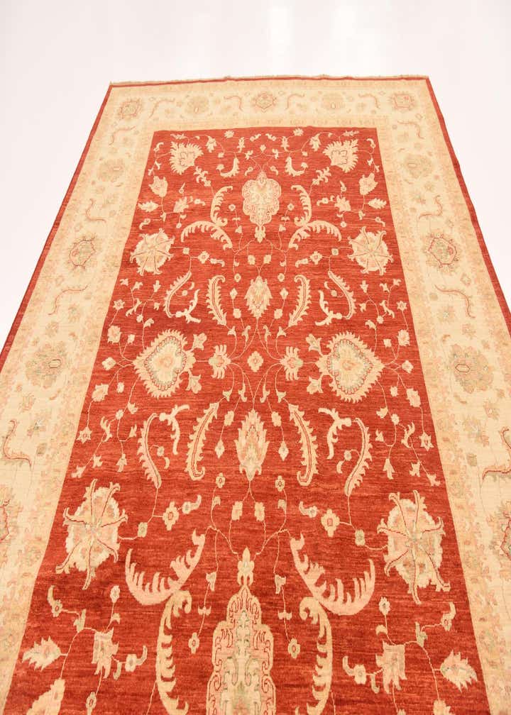 8' 10 x 12' 5 Hand Knotted Peshawar Ziegler Rug