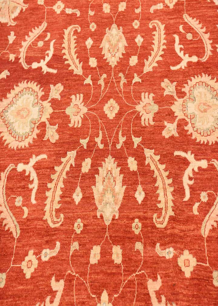 8' 10 x 12' 5 Hand Knotted Peshawar Ziegler Rug