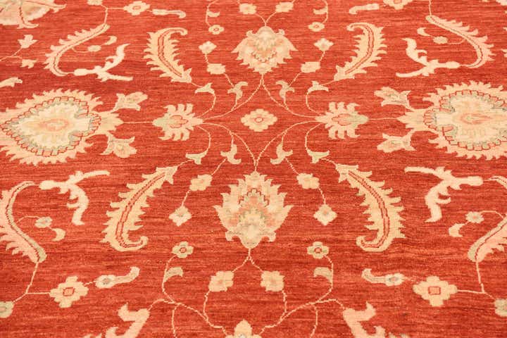 8' 10 x 12' 5 Hand Knotted Peshawar Ziegler Rug