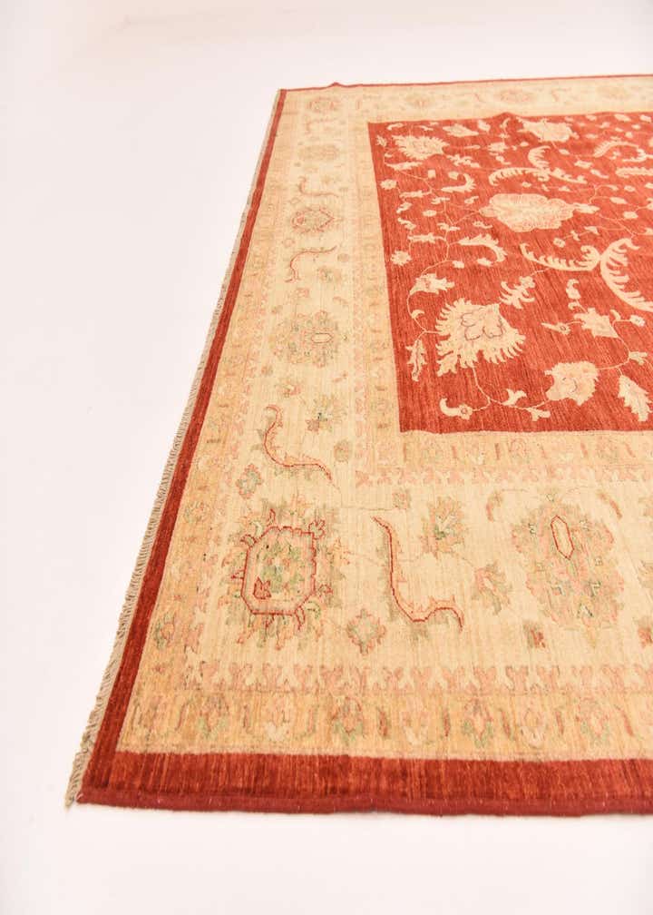8' 10 x 12' 5 Hand Knotted Peshawar Ziegler Rug