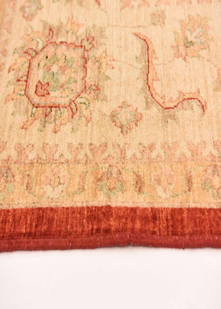 8' 10 x 12' 5 Hand Knotted Peshawar Ziegler Rug