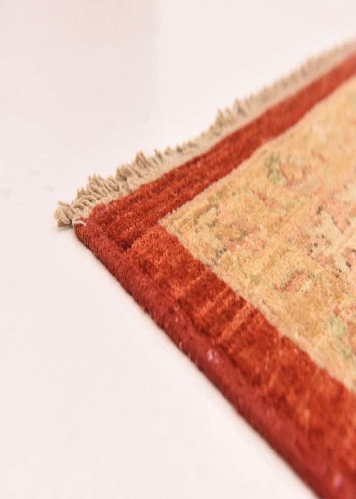 8' 10 x 12' 5 Hand Knotted Peshawar Ziegler Rug