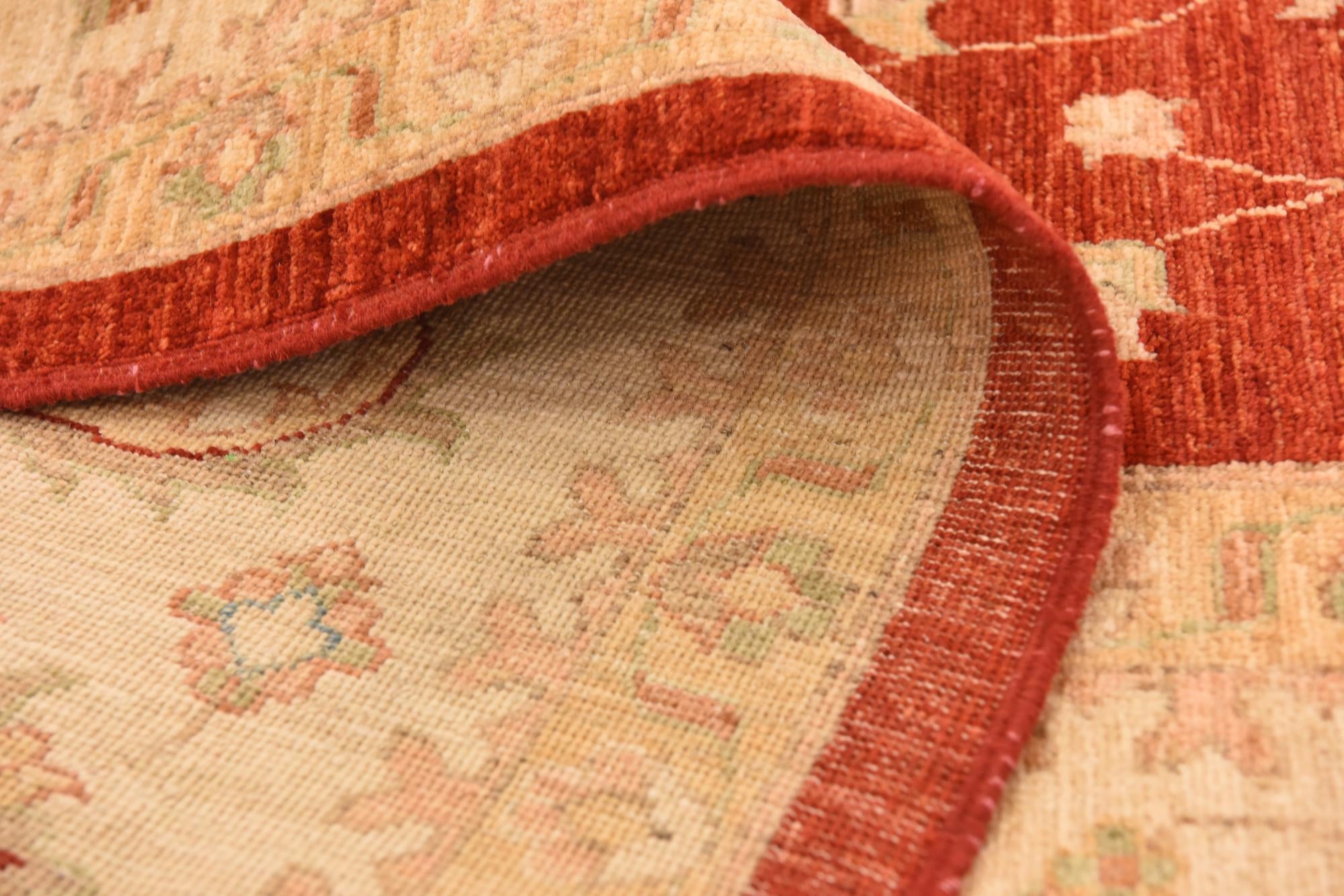 8' 10 x 12' 5 Hand Knotted Peshawar Ziegler Rug