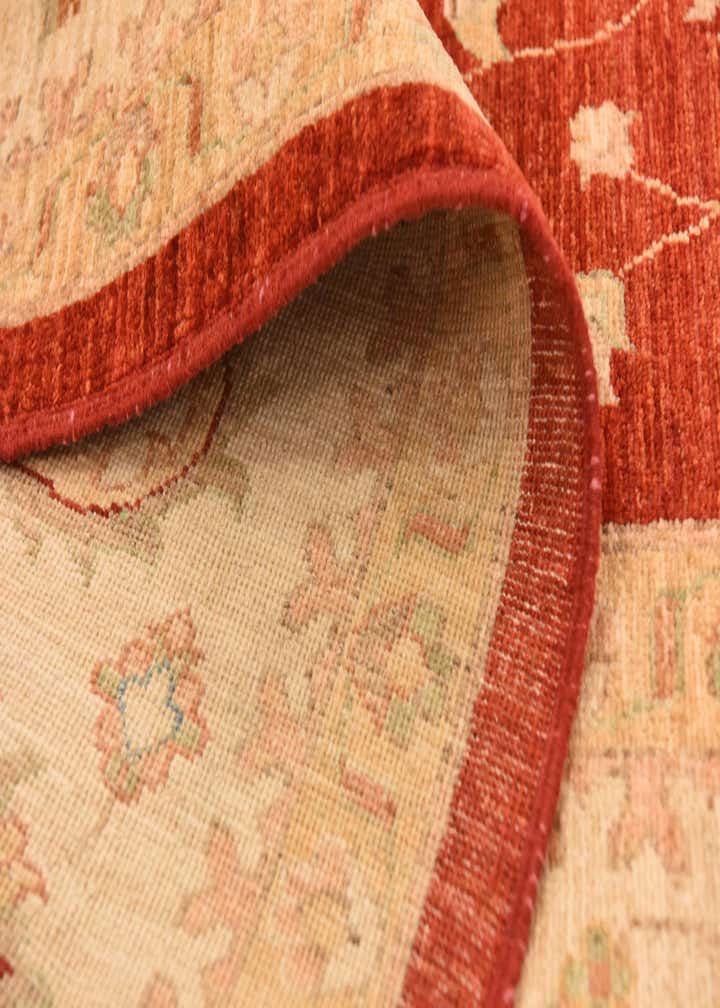 8' 10 x 12' 5 Hand Knotted Peshawar Ziegler Rug