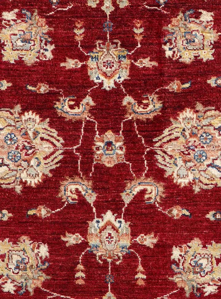 3' 11 x 6' 3 Hand Knotted Peshawar Ziegler Rug