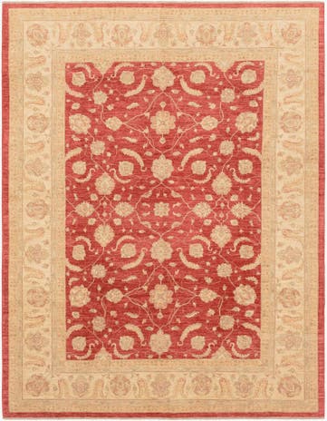 10' x 13' Hand Knotted Peshawar Ziegler Rug