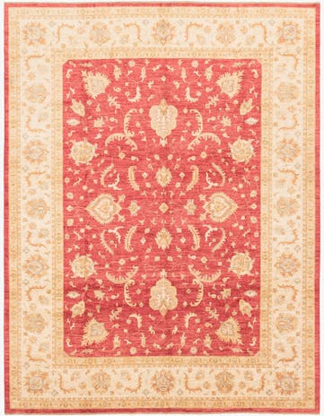 10' x 12' 10 Hand Knotted Peshawar Ziegler Rug