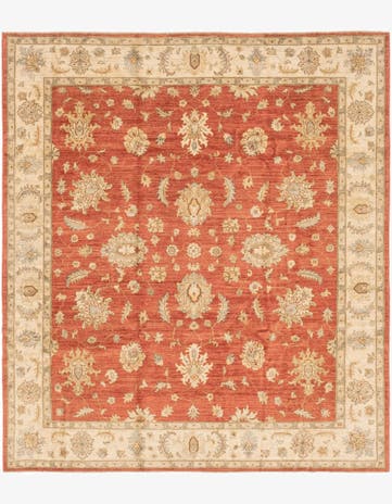 8' 4 x 9' 9 Hand Knotted Peshawar Ziegler Rug