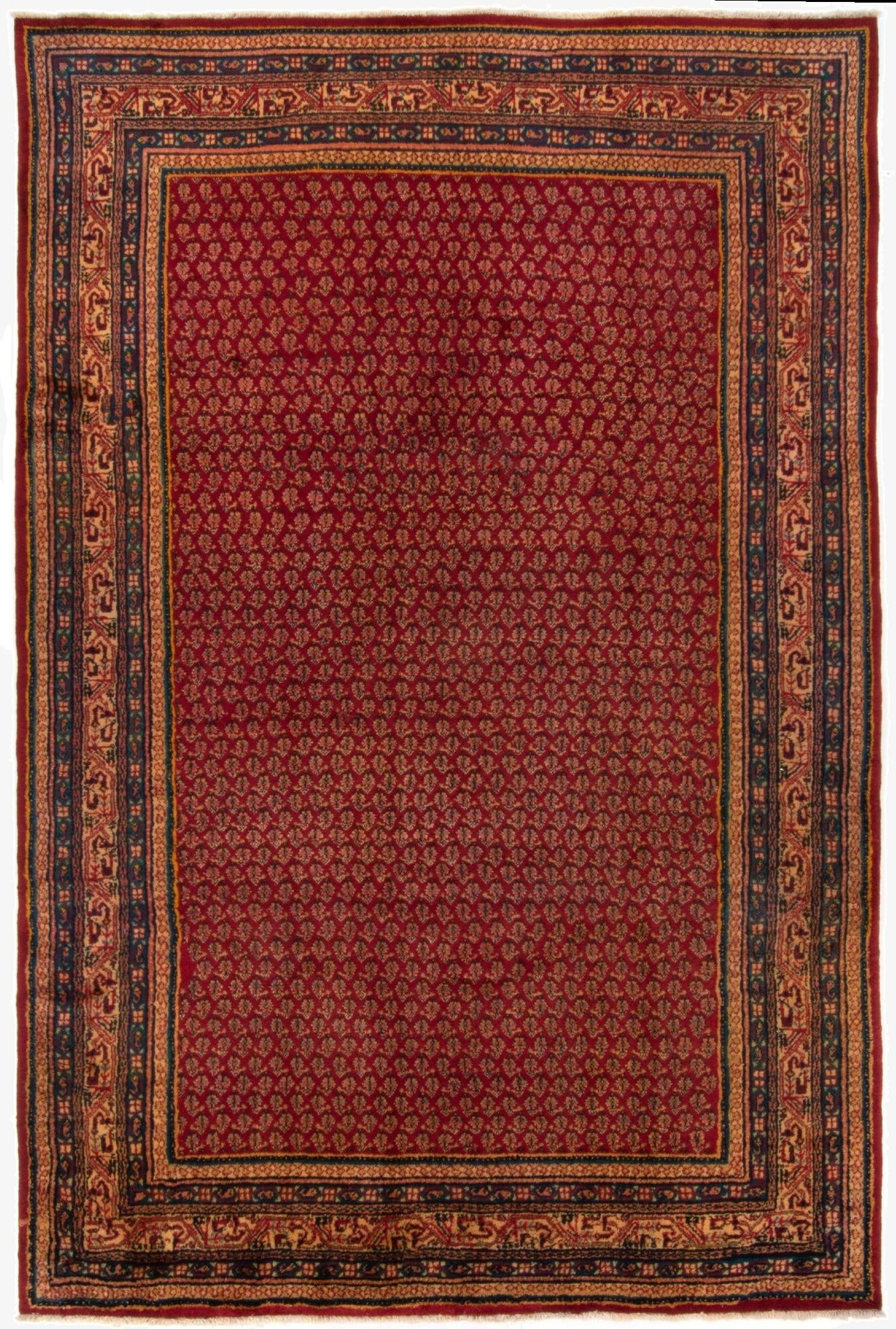 210cm x 320cm  Hand Knotted Sarough Persian Wool Rug