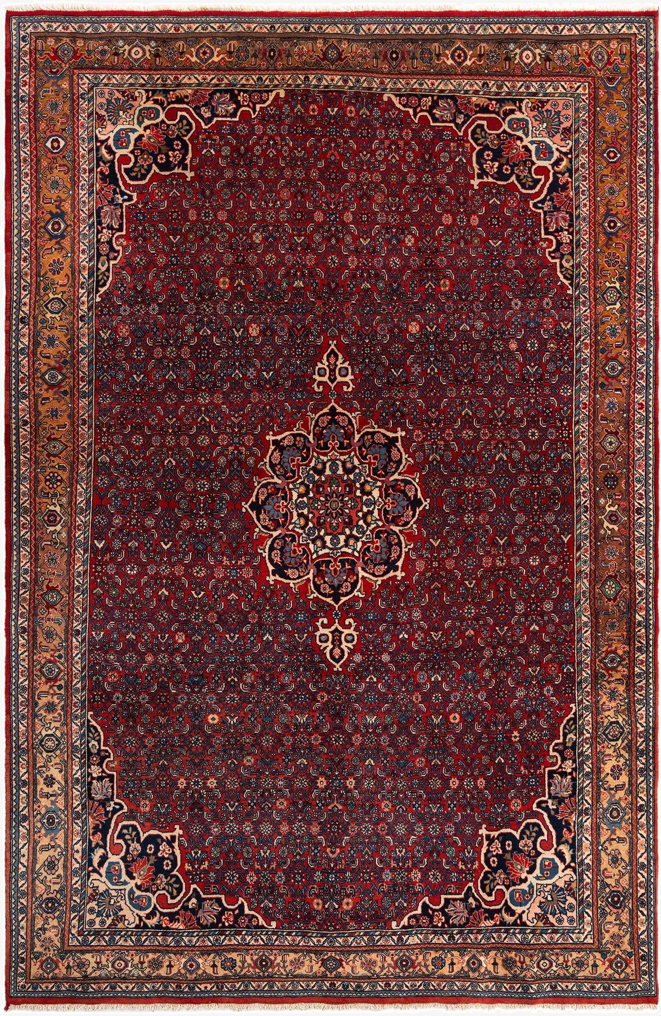 7' x 10' 8 Sarouk Wool Rug