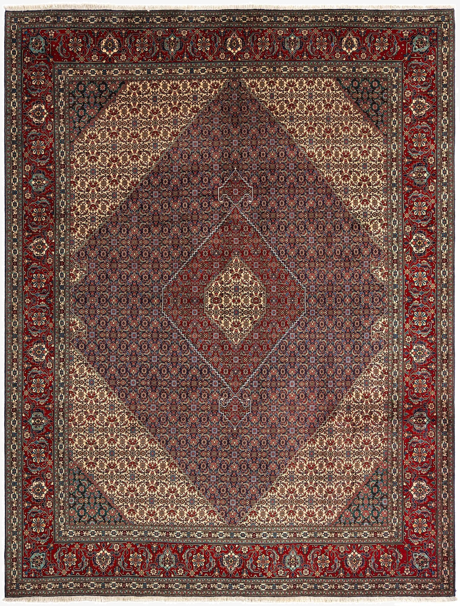 9' 11 x 13' Tabriz Mahi Rug