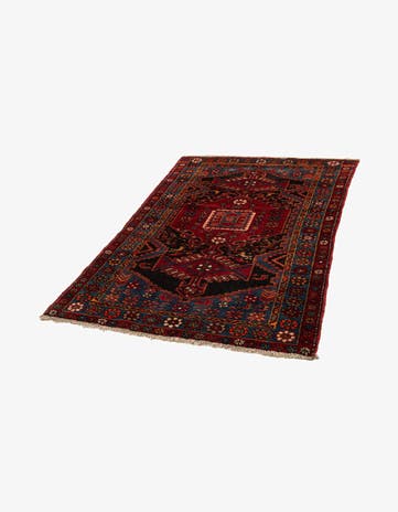 4' 1 x 6' Taleghan Rug