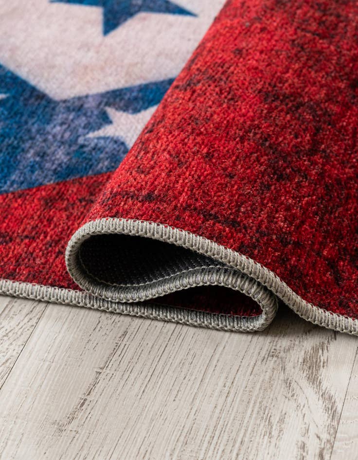 Detail image of 4' x 6' Arkansas The Flag Collection Rug