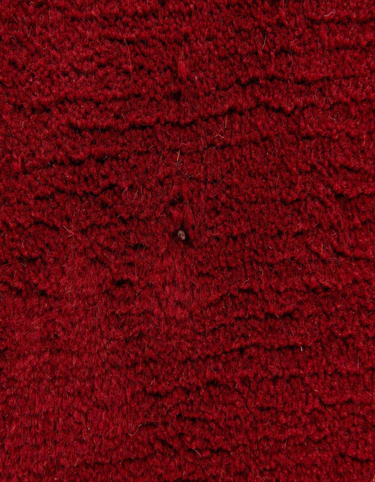 Detail image of 3' 11 x 5' 2  Hand Knotted Tibet Wool Rug