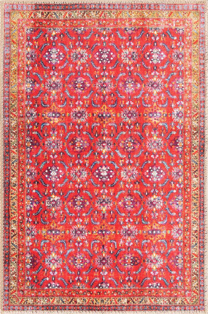 2' x 3' Washable Timeless Rug