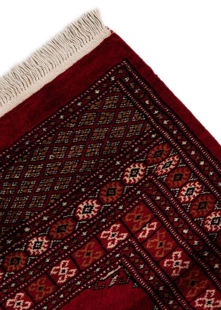 4' 3 x 6' 2 Hand Knotted Torkaman Persian Wool Rug