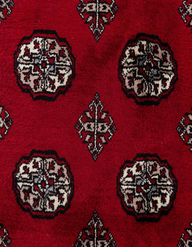 Detail image of 3' 2 x 5' 1  Hand Knotted Torkaman Wool Rug