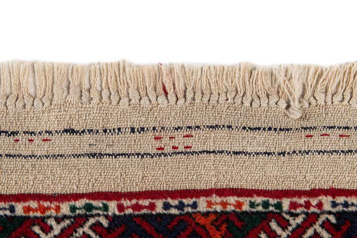 6' x 9' Hand Knotted Torkaman Persian Wool Rug