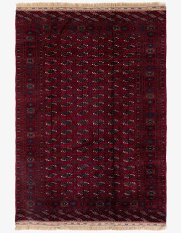 6' 7 x 10' 1 Hand Knotted Torkaman Persian Wool Rug