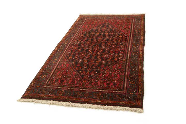 4' 4 x 7' 7 Zandjan Rug