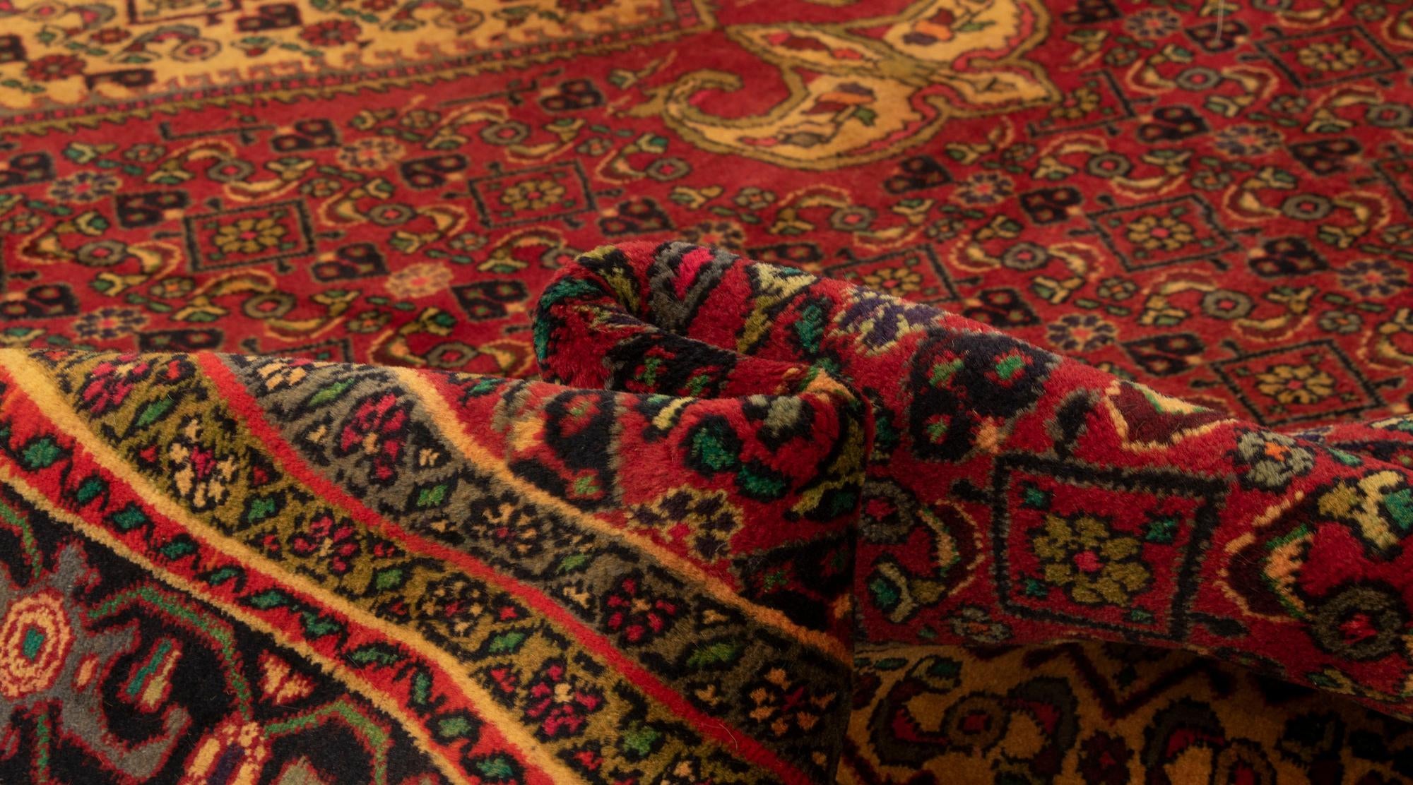 9' 10 x 12' 10 Hand Knotted Zanjan Persian Wool Rug
