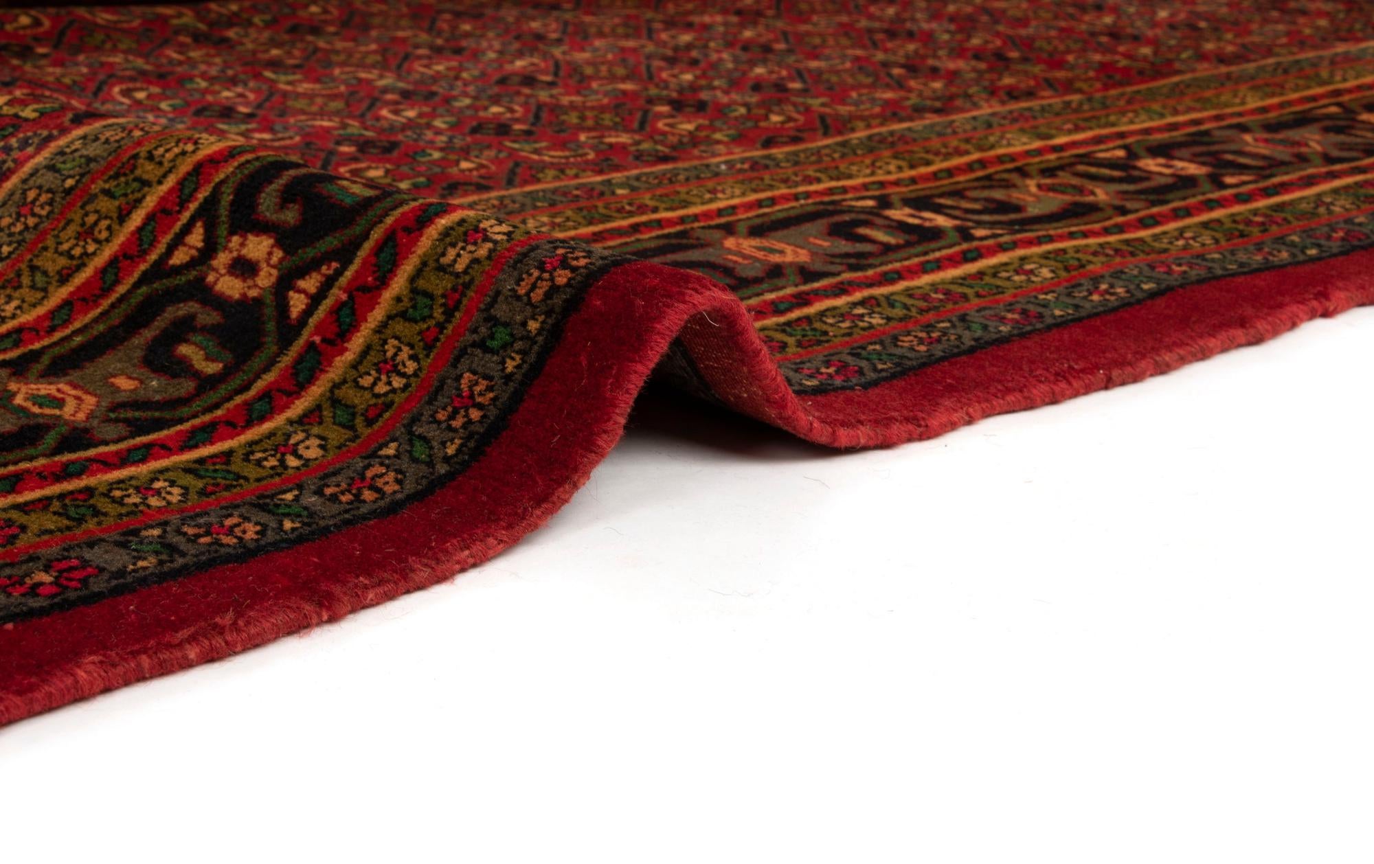 9' 10 x 12' 10 Hand Knotted Zanjan Persian Wool Rug