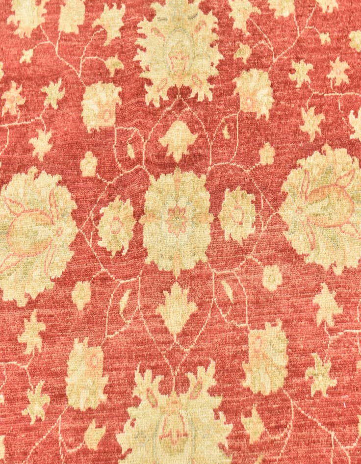 Detail image of 6' 6 x 6' 7  Hand Knotted Peshawar Ziegler Round Rug