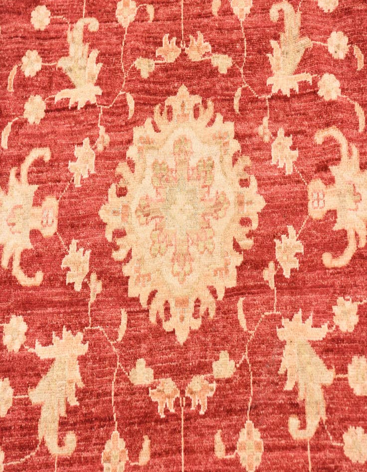 Detail image of 6' 6 x 6' 7  Hand Knotted Peshawar Ziegler Round Rug
