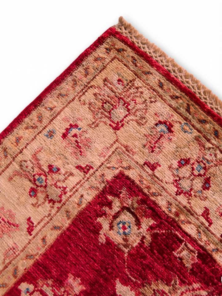 2' 8 x 10' 2 Hand Knotted Ariana Ziegler Runner Rug