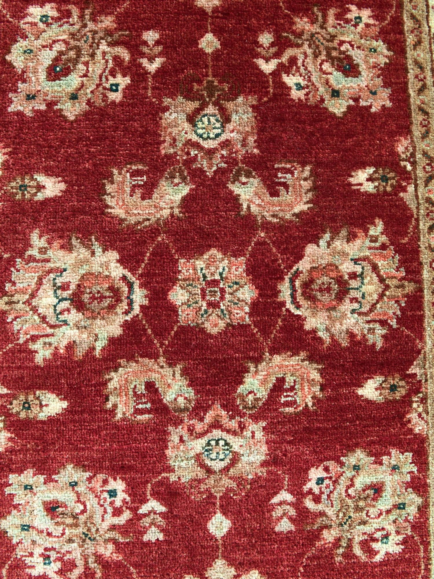 2' 10 x 8' 4 Hand Knotted Ariana Ziegler Runner Rug