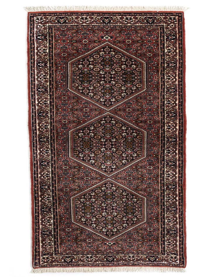 Detail image of 2' 6 x 6' 11 Bidjar fine Wool Runner Rug