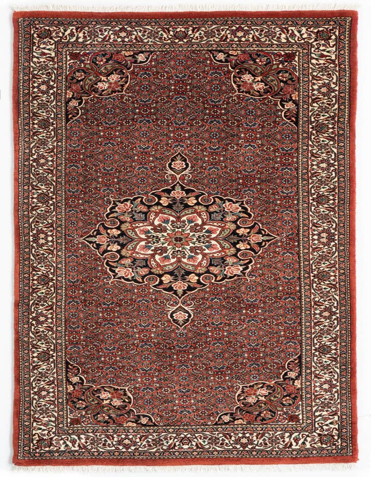 Detail image of 3' 3 x 6' 9 Bidjar Wool Runner Rug