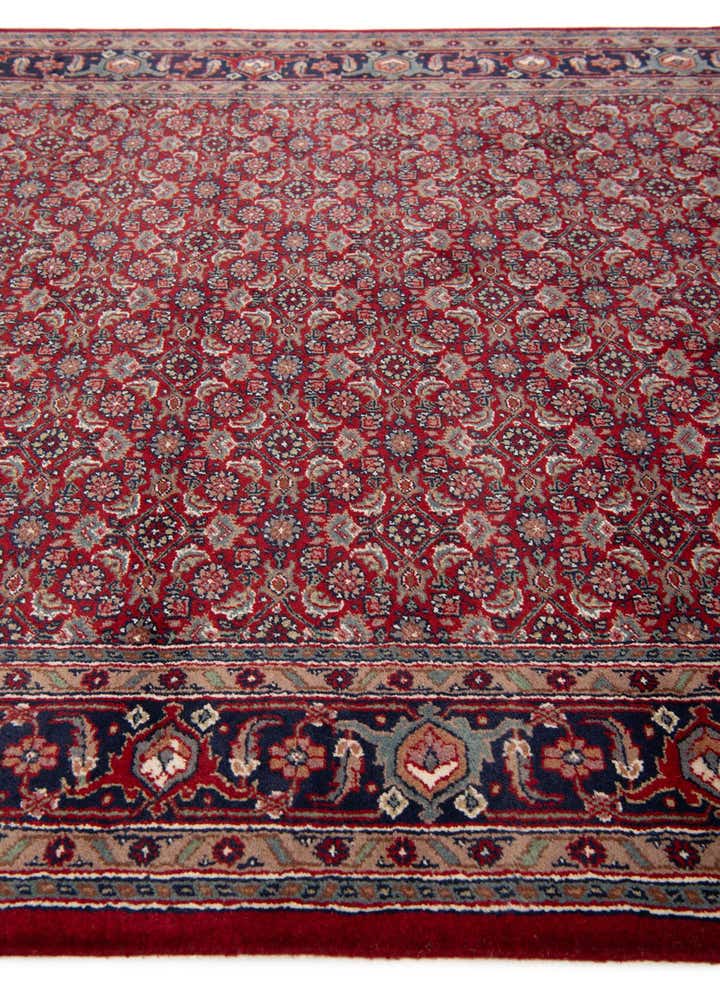 5' 4 x 10' 10 Hand Knotted Bidjar Wool Runner Rug