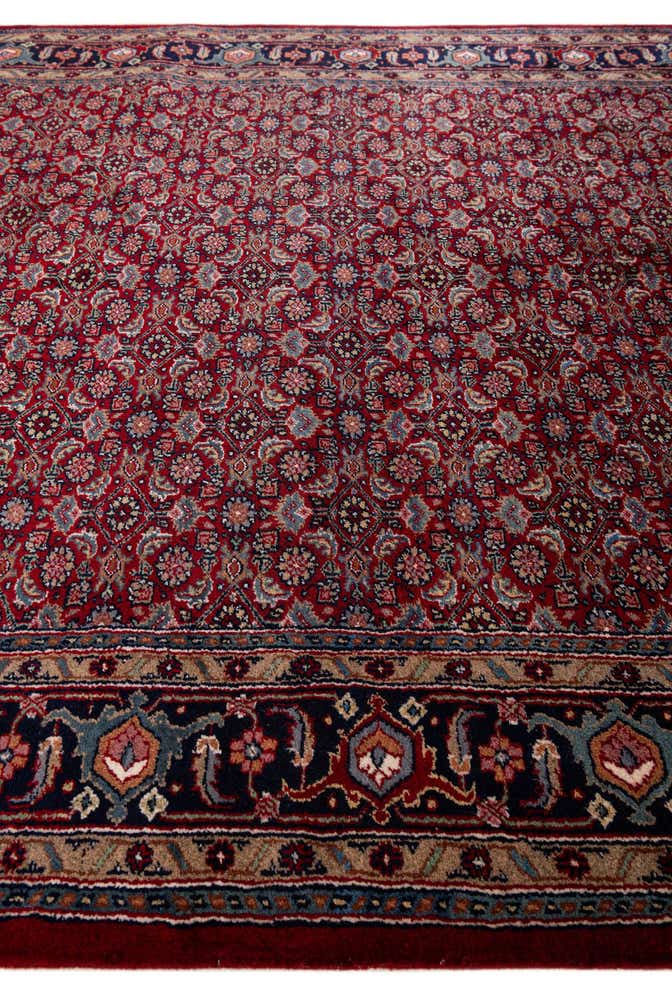 5' 6 x 10' 7 Bidjar Wool Runner Rug