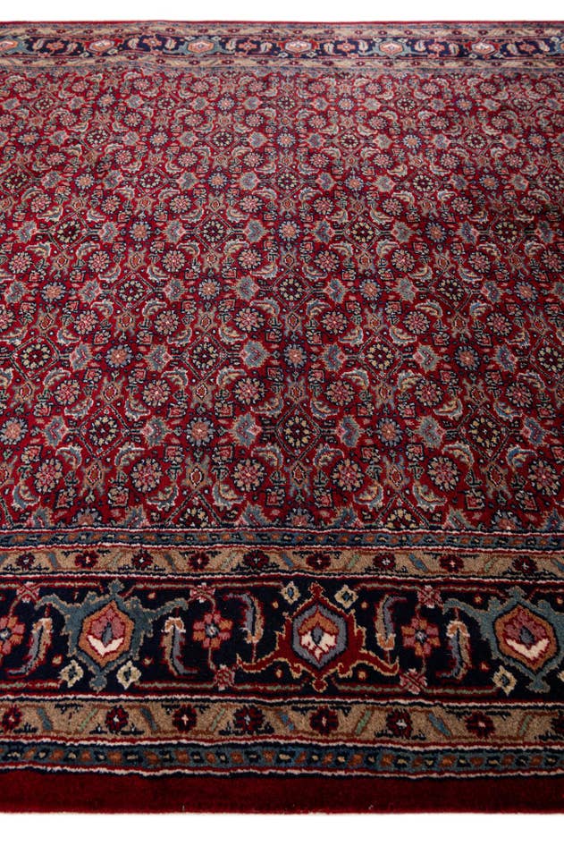 Detail image of 5' 6 x 10' 7 Bidjar Wool Runner Rug
