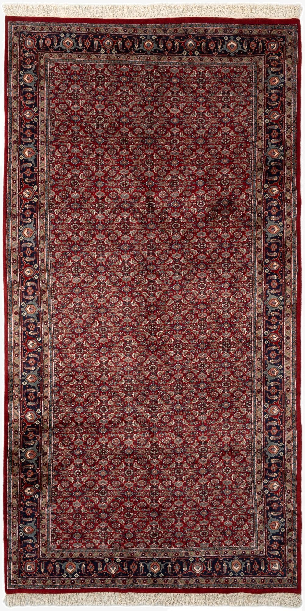 5' 4 x 10' 10  Hand Knotted Bidjar Wool Runner Rug