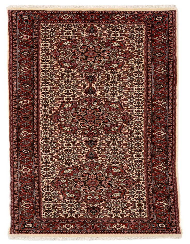 Detail image of 2' 6 x 6' 11 Bidjar With Silk Runner Rug