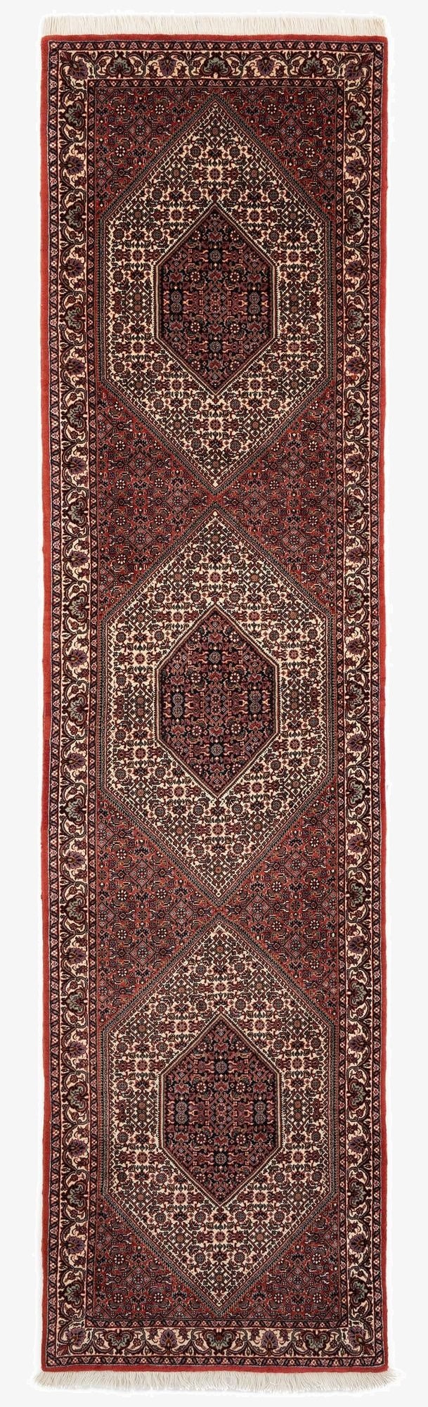 2' 7 x 10' 4 Bidjar With Silk Runner Rug
