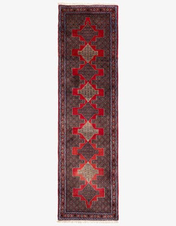 2' 10 x 10' 3 Birjend Wool Runner Rug