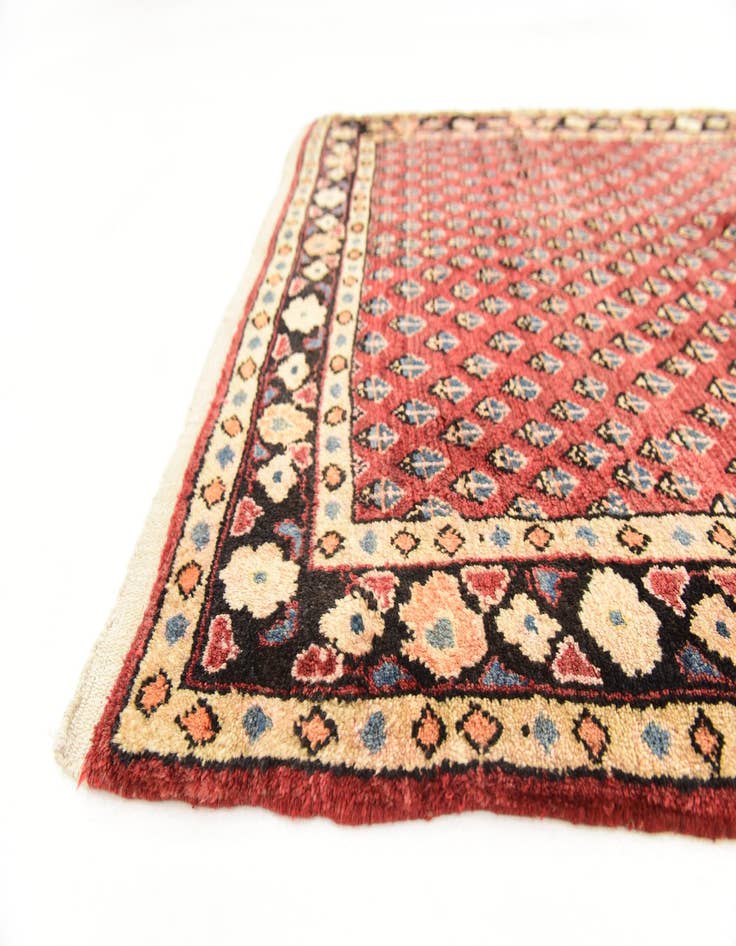 Detail image of 3' 9 x 10' 9  Hand Knotted Botemir Persian Wool Runner Rug