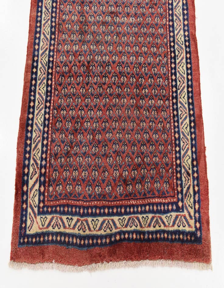 Detail image of 3' 7 x 9' 9  Hand Knotted Botemir Persian Wool Runner Rug