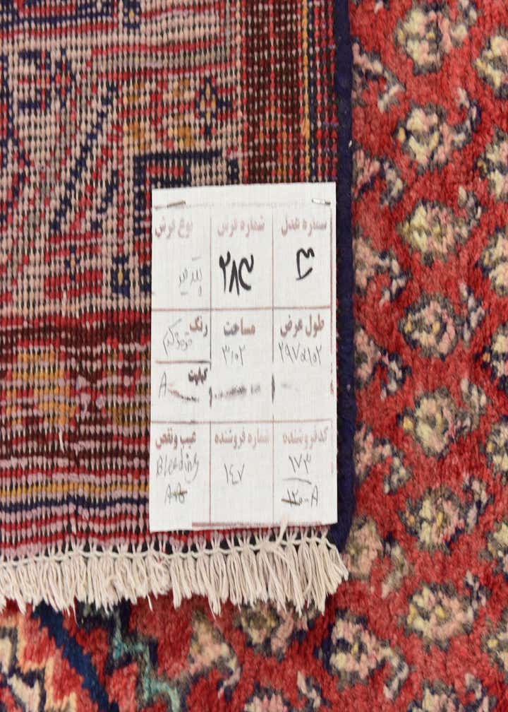 3' 5 x 10' Hand Knotted Botemir Persian Wool Runner Rug