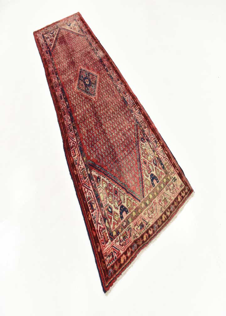 3' 5 x 10' Hand Knotted Botemir Persian Wool Runner Rug